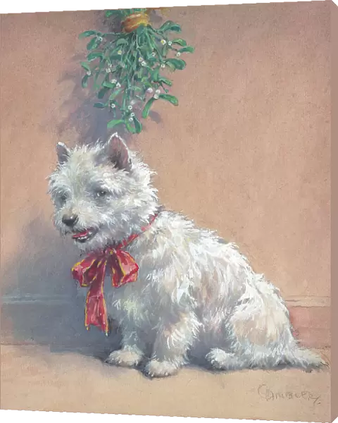 Under the Mistletoe Scottish terrier Dogs Watercolour