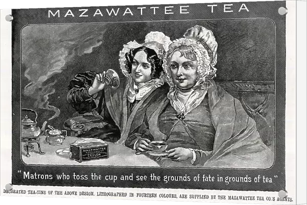 Advert, Reading the Tea Leaves, Mazawattee Tea Co
