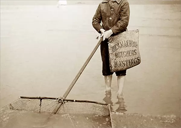 Shrimping in Hastings, Victorian period