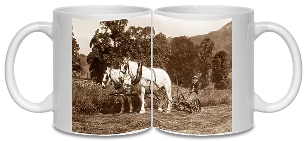 Mowing Date: 19th century