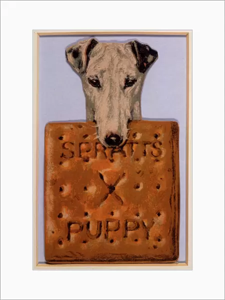 Spratts Dog Biscuits Ad