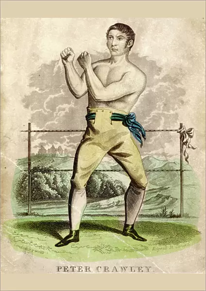 Peter Crawley, Boxer