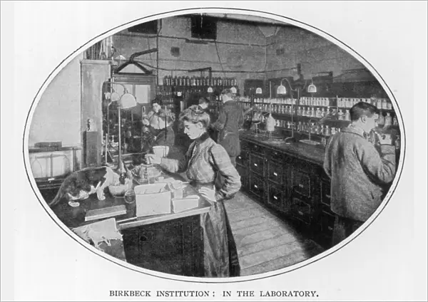 Laboratory Scene