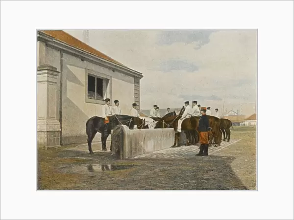 Watering French Horses