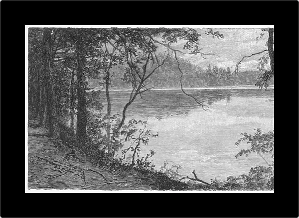 Thoreaus Pond
