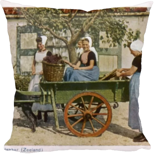Dog and Vegetable Cart