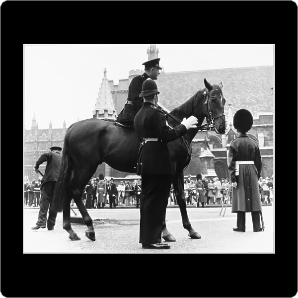 Mounted Police Officer