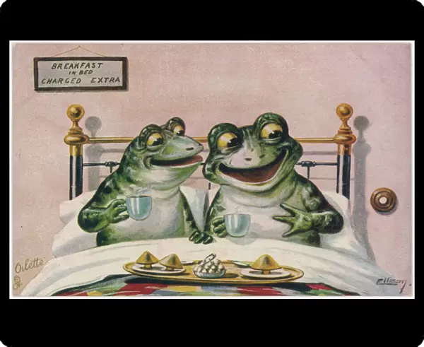 Frogs  /  Breakfast in Bed