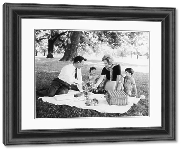Family Picnic 1960S