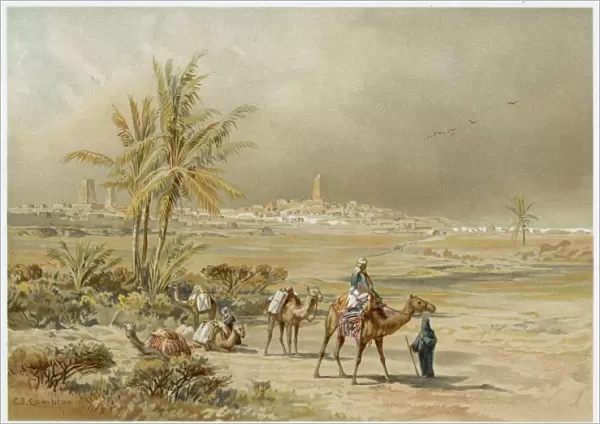 Barth  /  Timbuktu  /  Camel