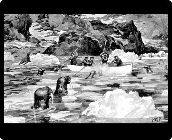 Men of the Jackson-Harmsworth Polar Expedition hunting walru