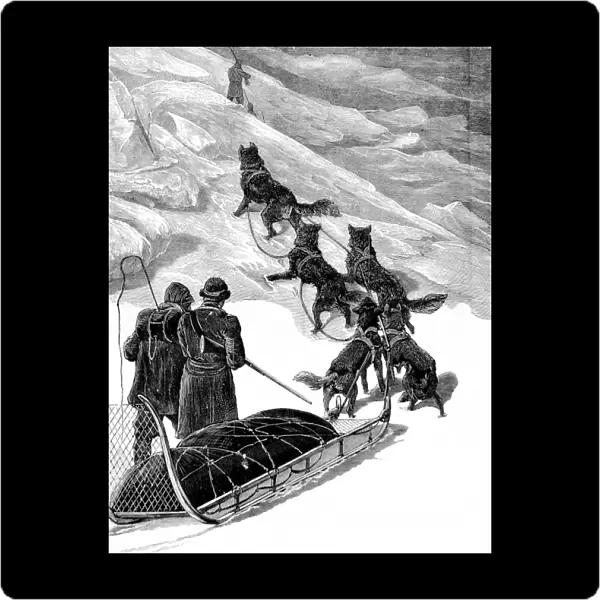 A Dog Sledge of the British Arctic Expedition, 1875-1876