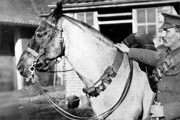 Cavalry chargers as extra ammunition carriers: The horses bandolier