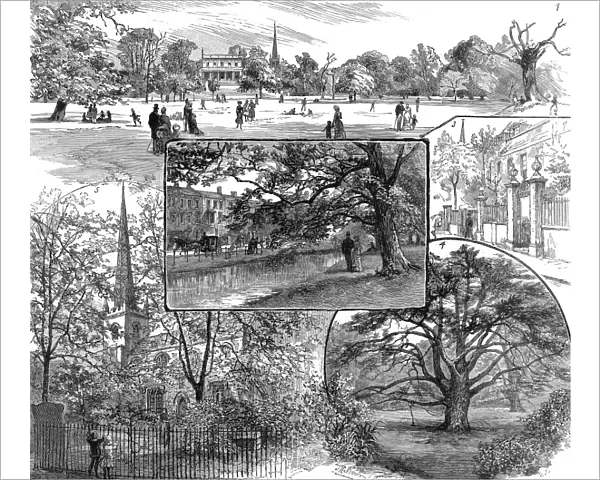 Clissold Park, Stoke Newington, London, 1885
