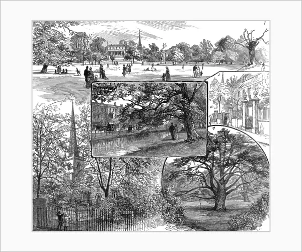Clissold Park, Stoke Newington, London, 1885