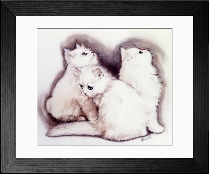 Framed Print : Three Fluffy White Kittens Print Framed Print : Three Fluffy White Kittens Print