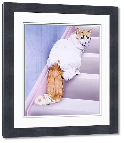 White cat with ginger tail  /  face on stairs
