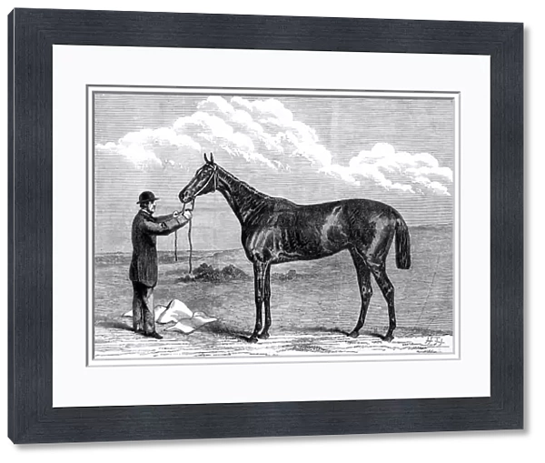 Hermit, winner of the 1867 Epsom Derby