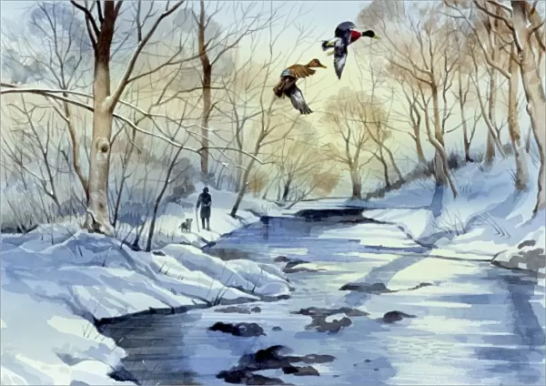 Winter scene with frozen river and two flying ducks