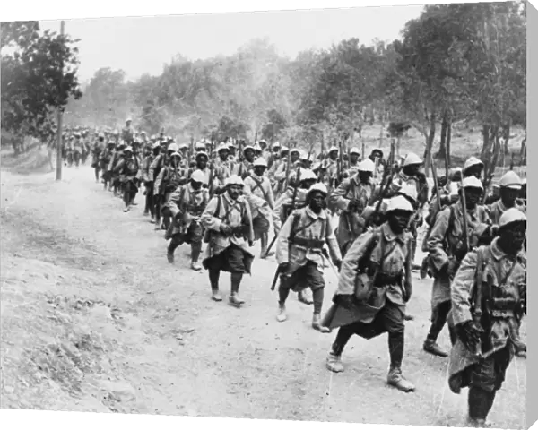 Sengalese troops 1916