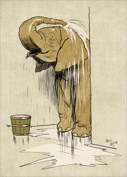 Elephant Washing Aldin