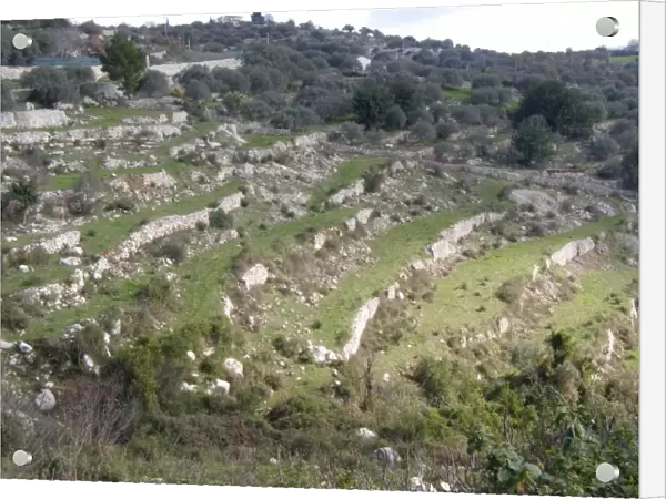 Dry stone walls, Valle dell Anapo, Ferla, Sicily, Italy