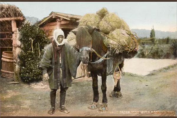 Japanese packhorse with bags of rice