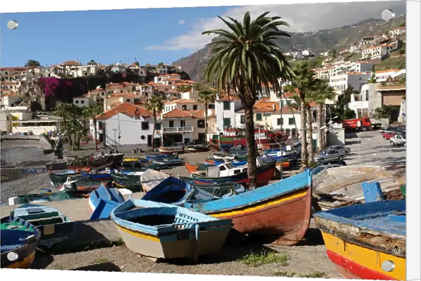 Fishing boats at Camara de Lobos, Madeira