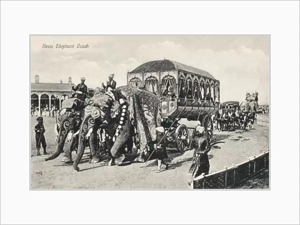 India - Rewa Elephant Coach