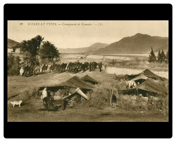 Algeria - Nomadic Encampment