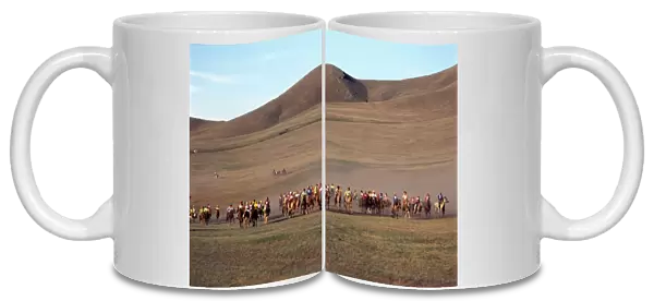 Horserace during Naadam Festival, Mongolia