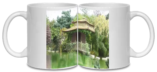 Japanese tea house and pool