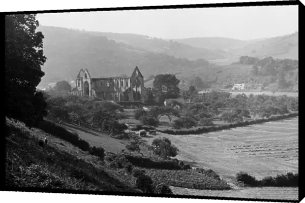 Ruins of Tintern Abbey, near Chepstow, Gwent, Wales