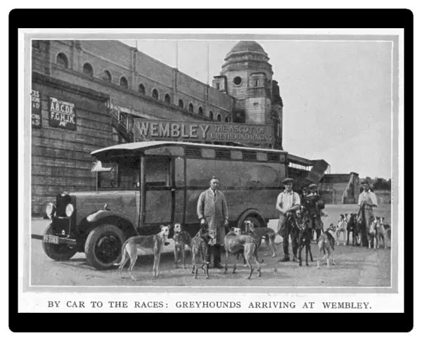 Greyhounds arriving at Wembley by car