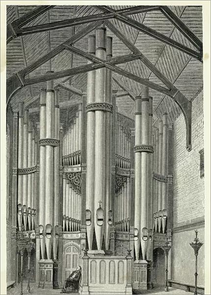 Music  /  Instruments  /  Organ
