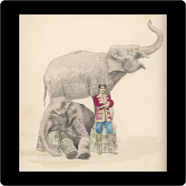 Circus Elephants  /  Garnier