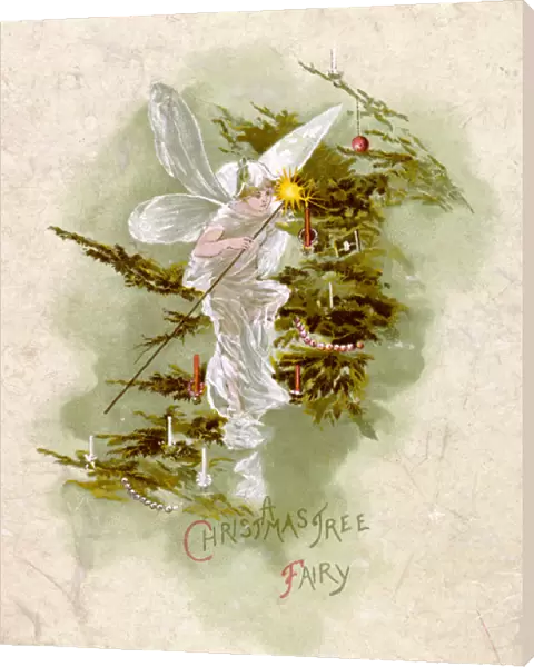 Christmas  /  Tree Fairy