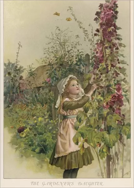 GARDENERs DAUGHTER 1890