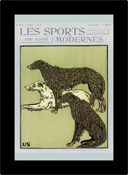 Deerhounds on Cover