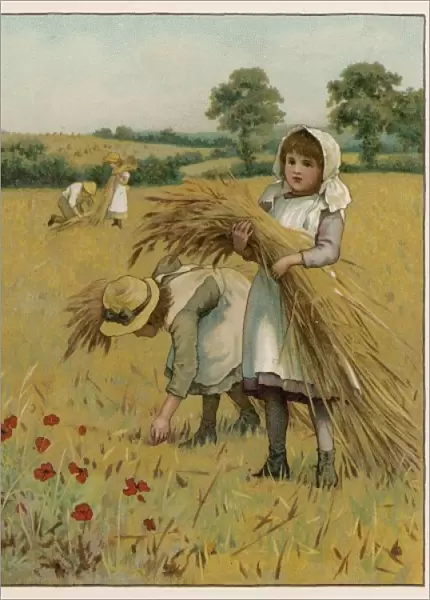 Girls Gleaning 1888