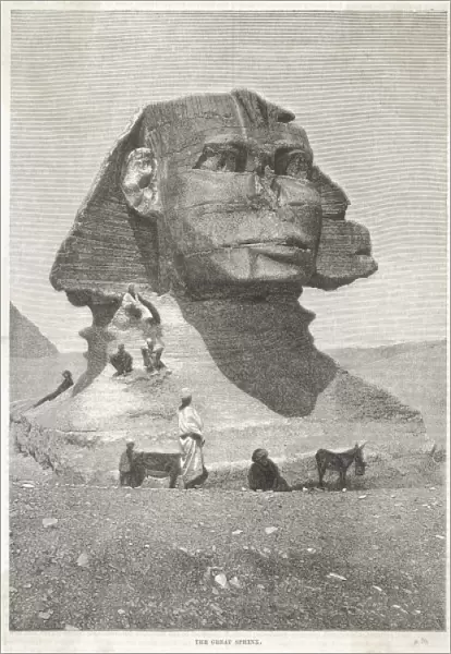 Egypt  /  Sphinx  /  Detail  /  1879