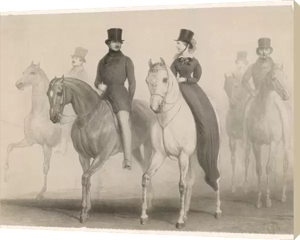 Victoria  /  Albert  /  Riding