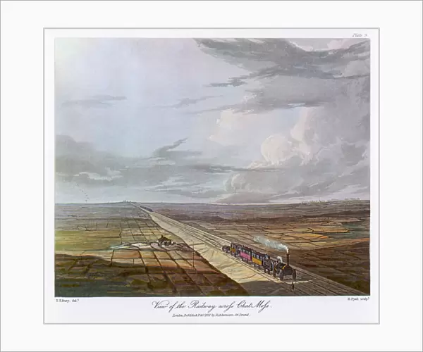 Rail  /  Chat Moss  /  1831