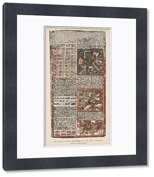 Dresden Codex