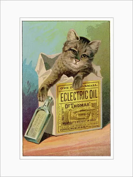 Electric Oil Remedy  /  1890