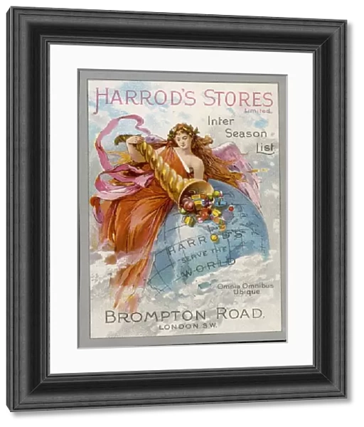 Advert  /  Harrods Stores