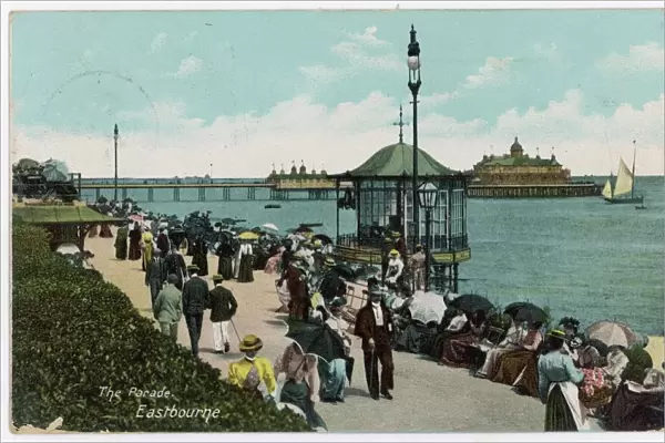 Eastbourne  /  Parade 1905