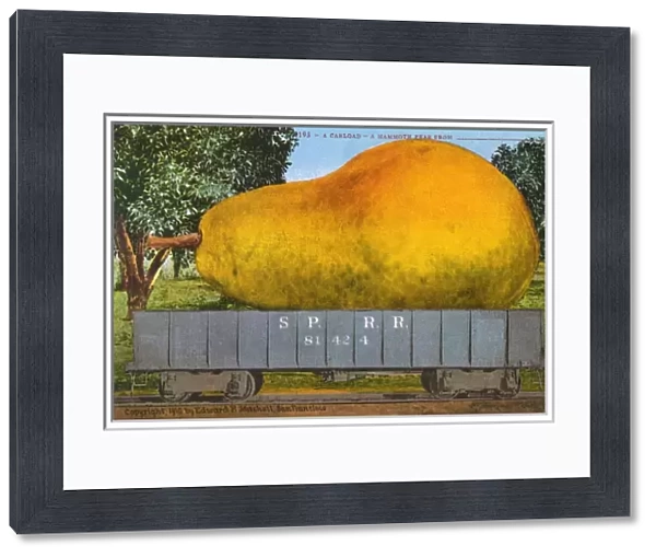 Rail car transporting a giant pear