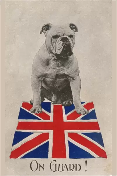 World War One Patriotic Postcard - Bulldog