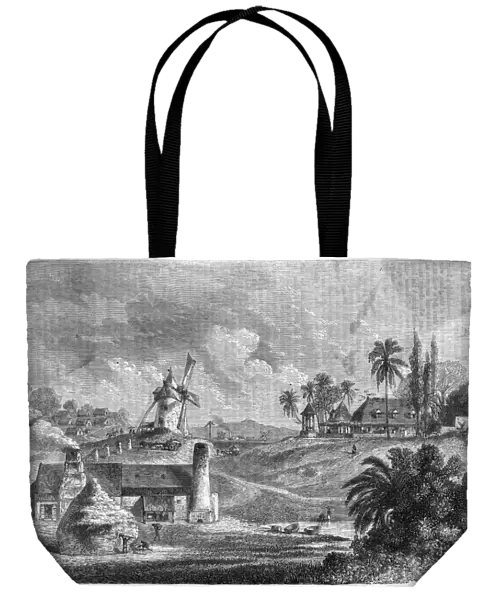 Sugar mill, Guadaloupe, 1850s